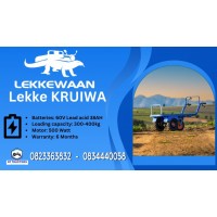Lekke KRUIWA (Electric Motor)