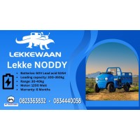 Lekke NODDY Electric 4 Wheel Bike