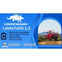Lekke TailG 1.3 Electric Bike